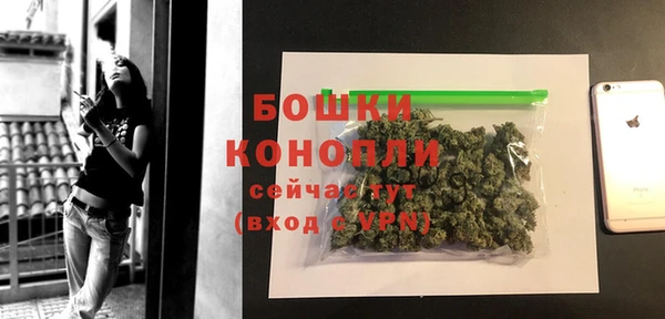 бошки Белокуриха