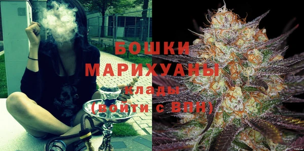 бошки Белокуриха