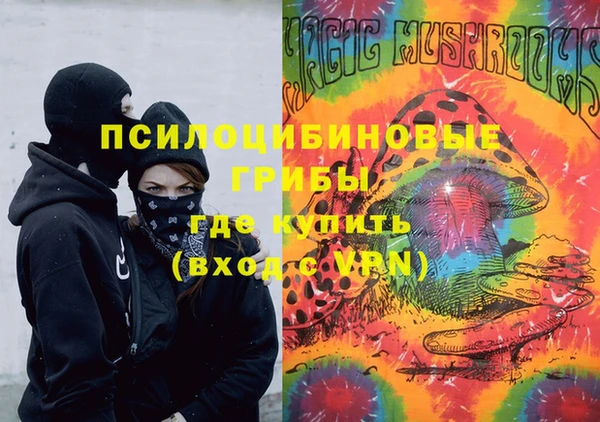 ПСИЛОЦИБИНОВЫЕ ГРИБЫ Белоозёрский