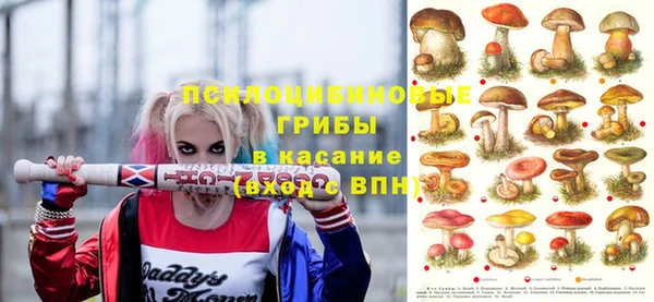 амф Беломорск