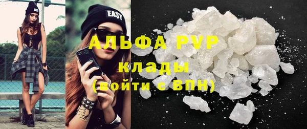бошки Белокуриха