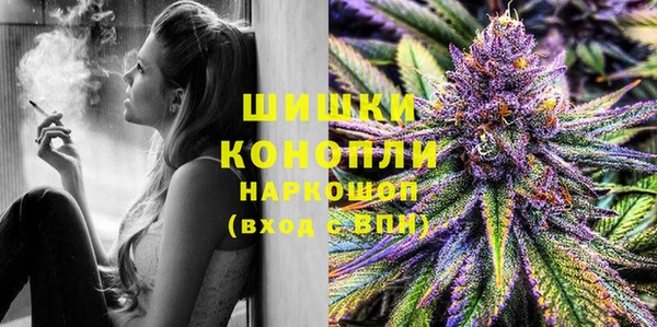 бошки Белокуриха