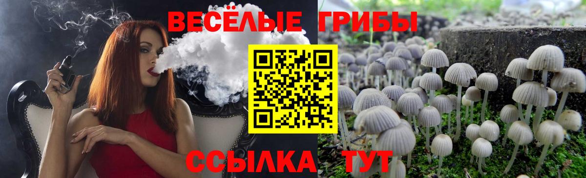 Обь  цена наркотик  Вход с VPN  Галлюциногенные грибы GOLDEN TEACHER 