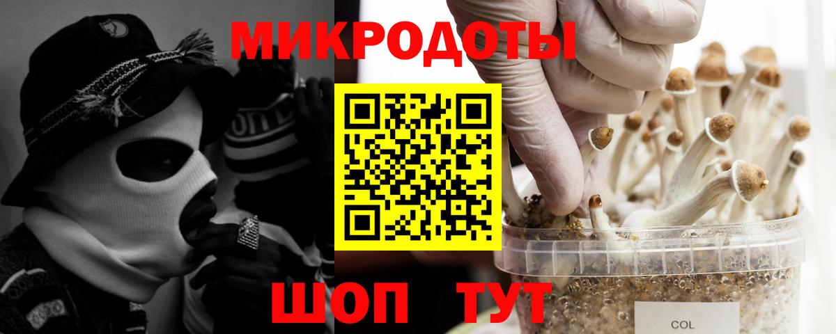 Псилоцибиновые грибы GOLDEN TEACHER Обь